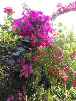 Escape to a serene oasis surrounded by vibrant flowers and lush greenery.