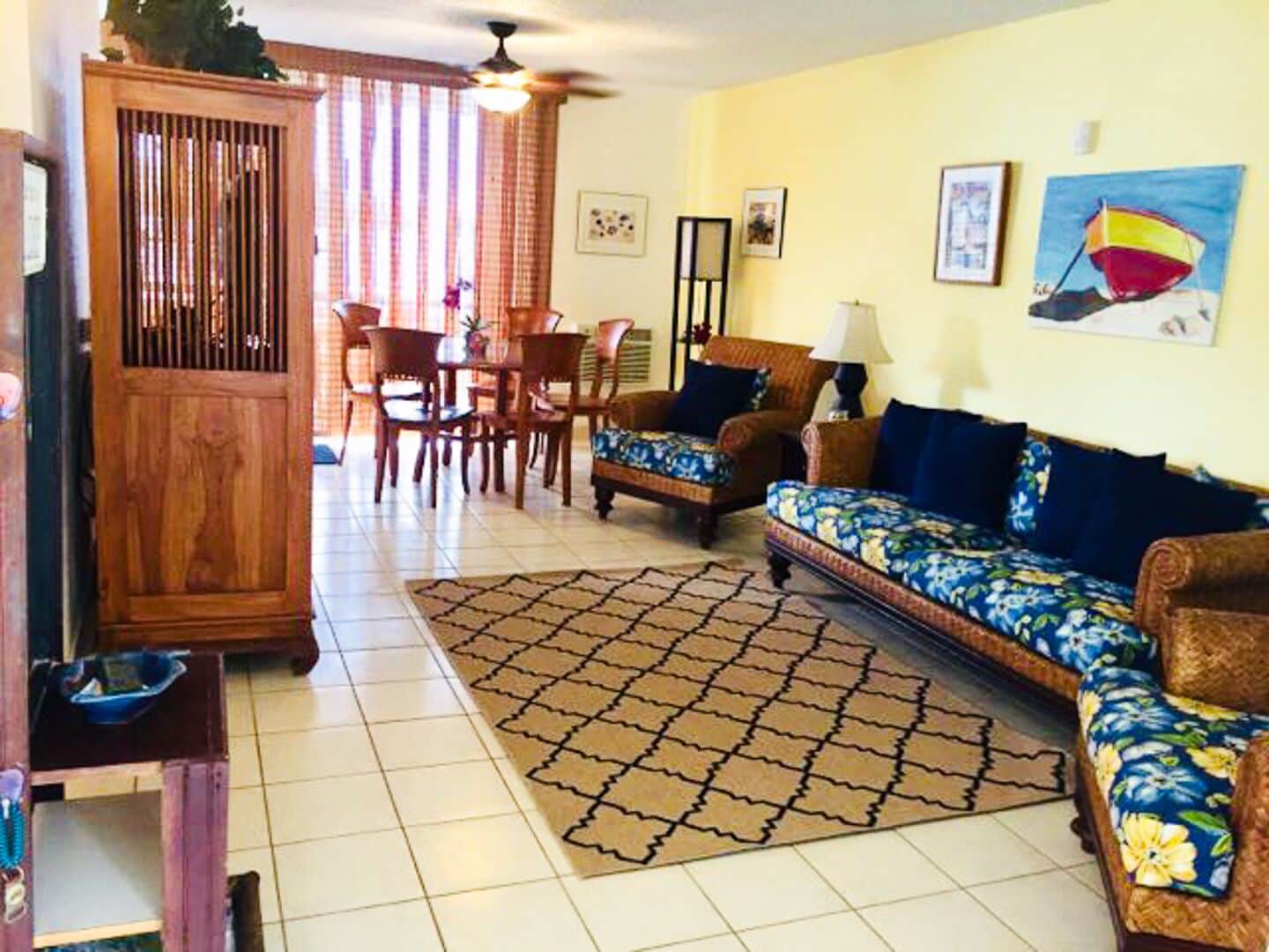 TV, DVD player, books, video library