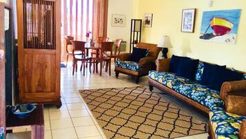 TV, DVD player, books, video library