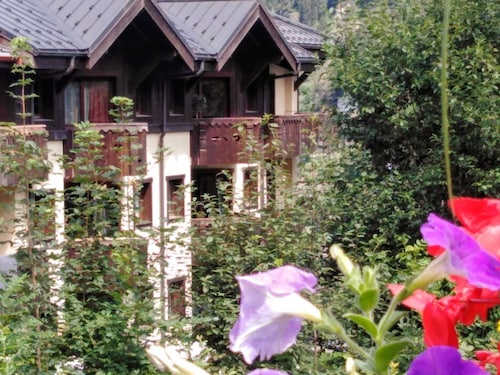 Very nice apartment skis Chamonix Valley