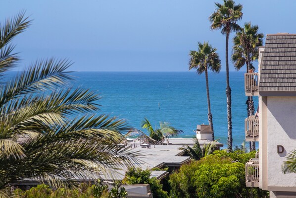 A coastal residential area with a view of the ocean, palm trees, and a building with balconies.
