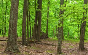 Terrain de l’hébergement 