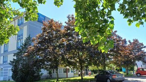 A building with a sign 'ibis budget' and a parking area with cars. - Hôtel Ibis Budget Nantes Ouest Atlantis Couëron (Coueron)