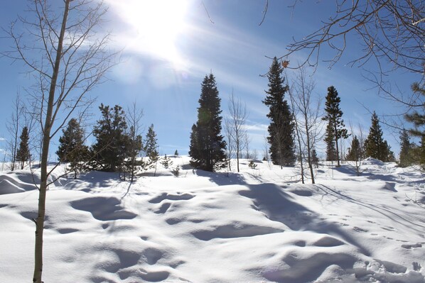A snowy landscape with trees and a clear sky. - Spacious Family Home Close to 4 Ski Resorts, Summit County CO- Mountain Serenity (Silverthorne)