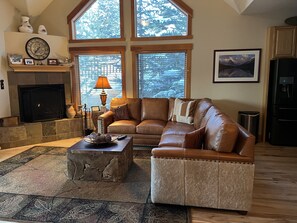 Smart TV, fireplace, DVD player, video library