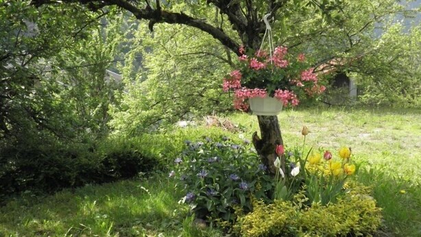 A garden with a tree, various flowers, and a bird feeder. - BEAUTIFUL CHARMING SAVOYARD CHALET ,, 3 * WIFI   (Villard-sur-Doron)
