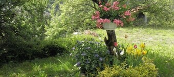 BEAUTIFUL CHARMING SAVOYARD CHALET ,, 3 * WIFI  