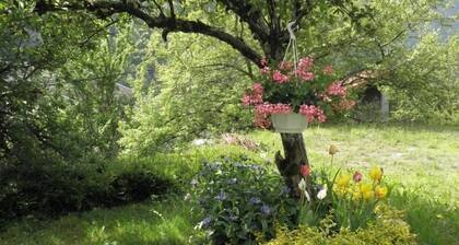 SCHÖNES SAVOYARD-CHALET MIT CHARME ,, 3 * WIFI