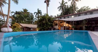 Nice studio apartment No. 6