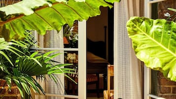 ๋๋ธ๋ฃธ | ํ
๋ผ์ค/ํํฐ์ค