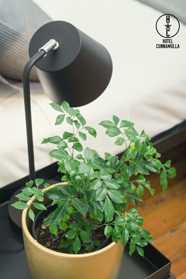 A potted plant with a black lamp on a bedside table. - Hotel Cunnamulla (Cunnamulla)