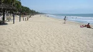 A beach with palm trees and a clear sky.