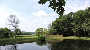 Un étang paisible, entouré d’une végétation luxuriante et d’arbres, avec une terrasse en bois au premier plan.