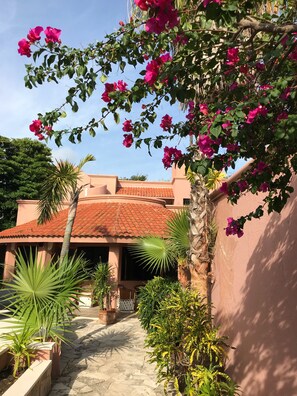 Property grounds - Private Villa in Akumal, Steps to Yal Ku Lagoon Half Moon Bay, Huge Heated Pool (Akumal)