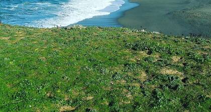 Impresionantes vistas panorámicas del océano, bañera de hidromasaje, se admiten perros y a 5 minutos a pie de la playa