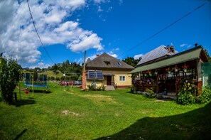 Exterior - Mountain Home - In the middle of the Nature (Podu Dâmboviței)