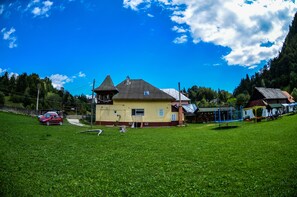 Exterior - Mountain Home - In the middle of the Nature  (Podu Dâmboviței)