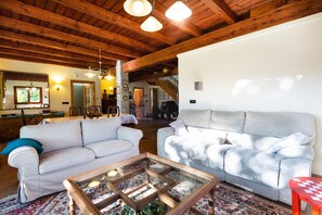 Smart TV, chimenea, reproductor de DVD y libros 