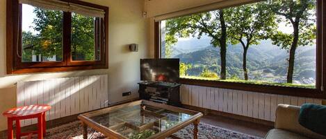 Smart-tv, pejs, dvd-afspiller, bøger