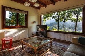 Smart TV, chimenea, reproductor de DVD, libros