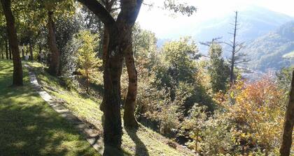 House in the valley of Arratia. Near Bilbao, San Sebastian, Vitoria and Pamplona.