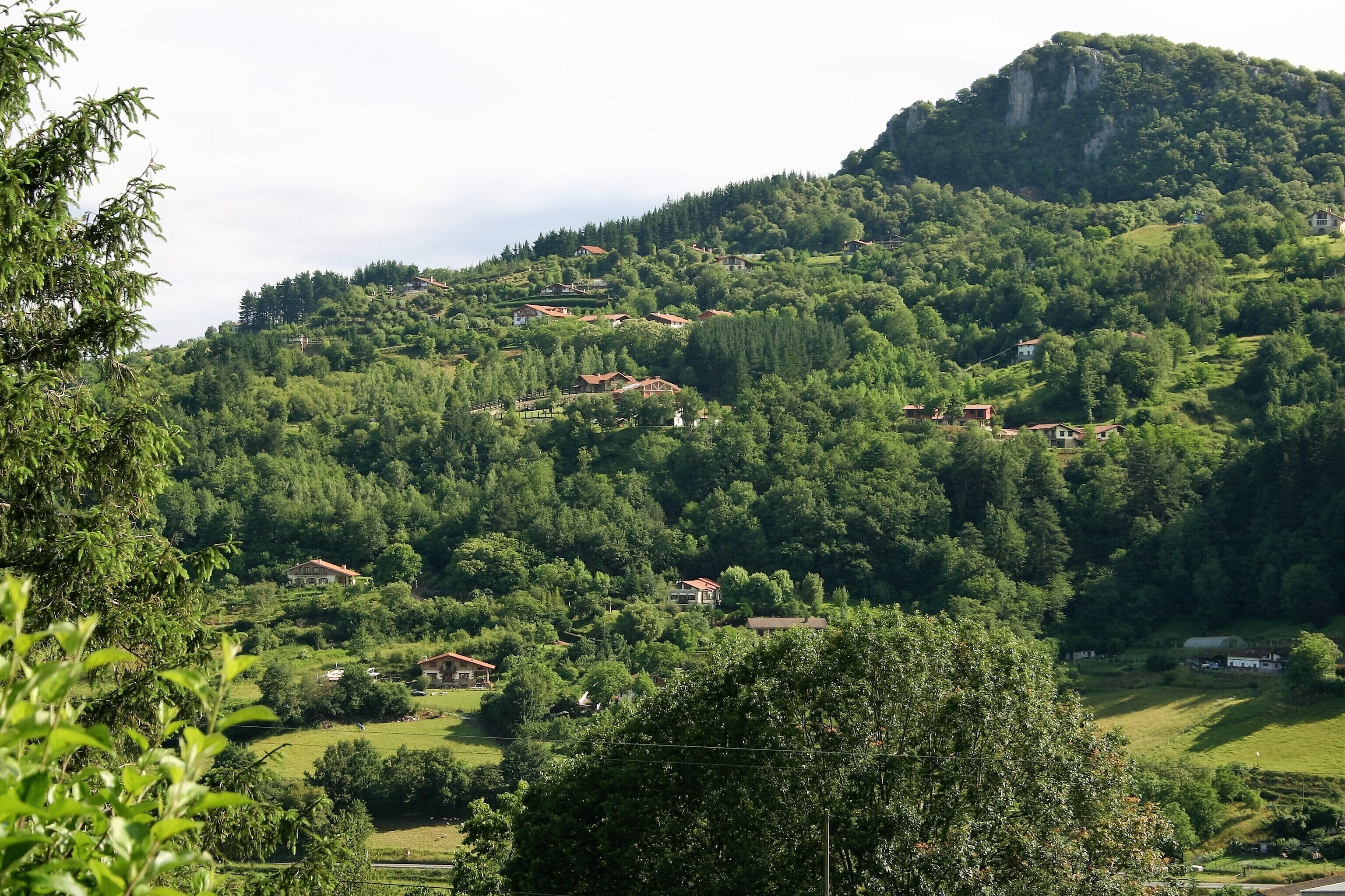 A hillside village with houses nestled among trees.