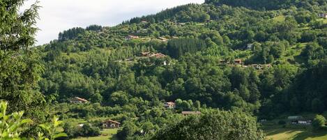 A hillside village with houses nestled among trees.