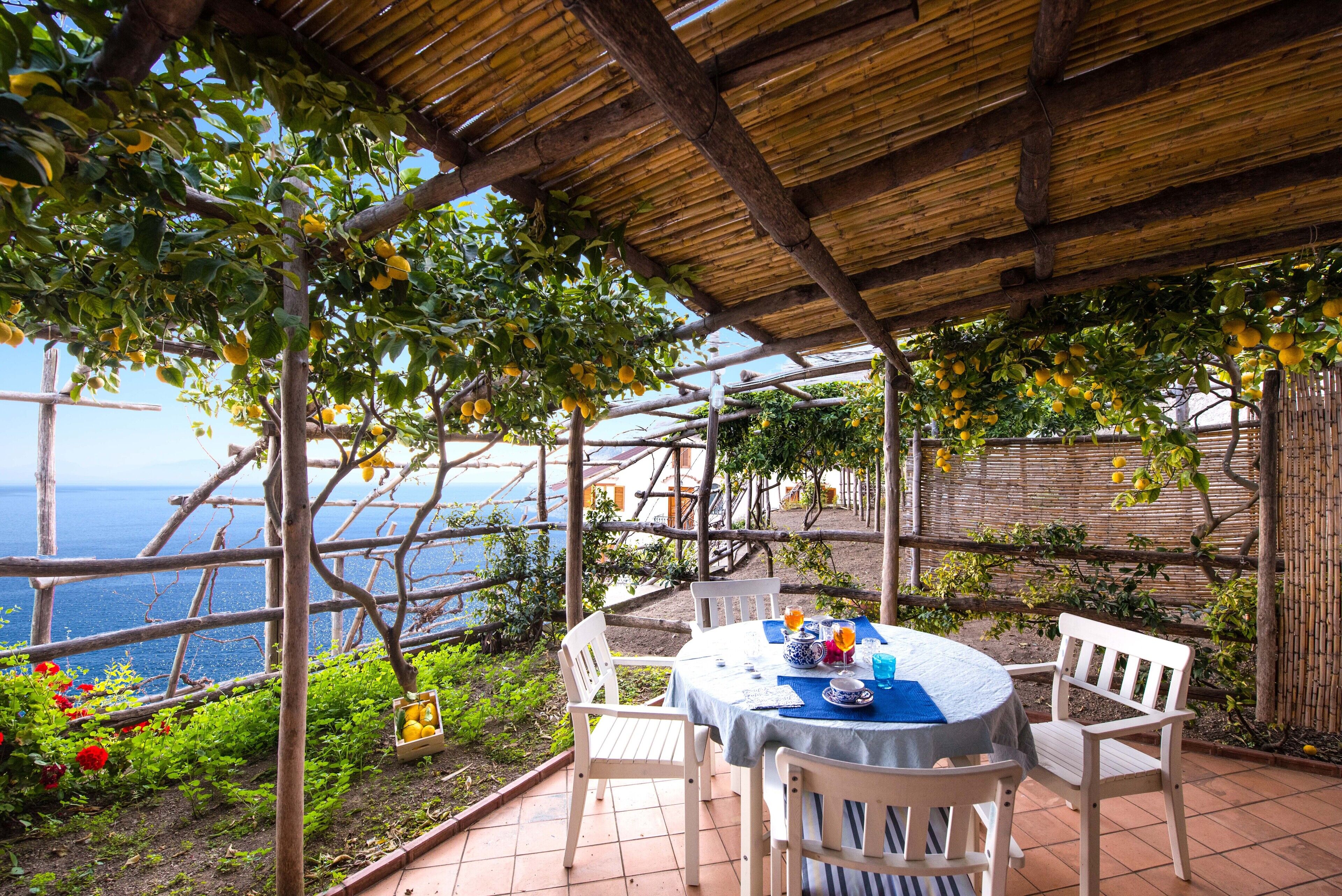 A covered outdoor dining area with a table and chairs, surrounded by lemon trees and a view of the sea.