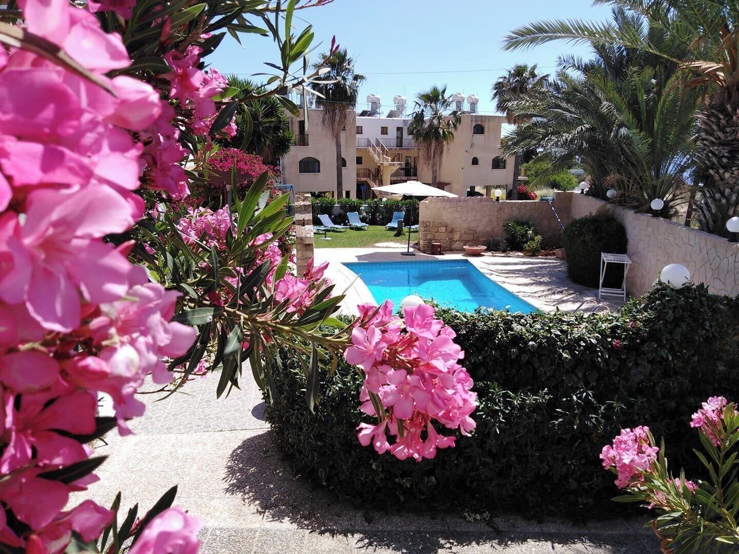 Zona de piscina con vista despejada, rodeada de exuberante vegetación y flores rosadas.