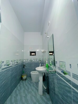 Shower, hydromassage showerhead, designer toiletries, hair dryer