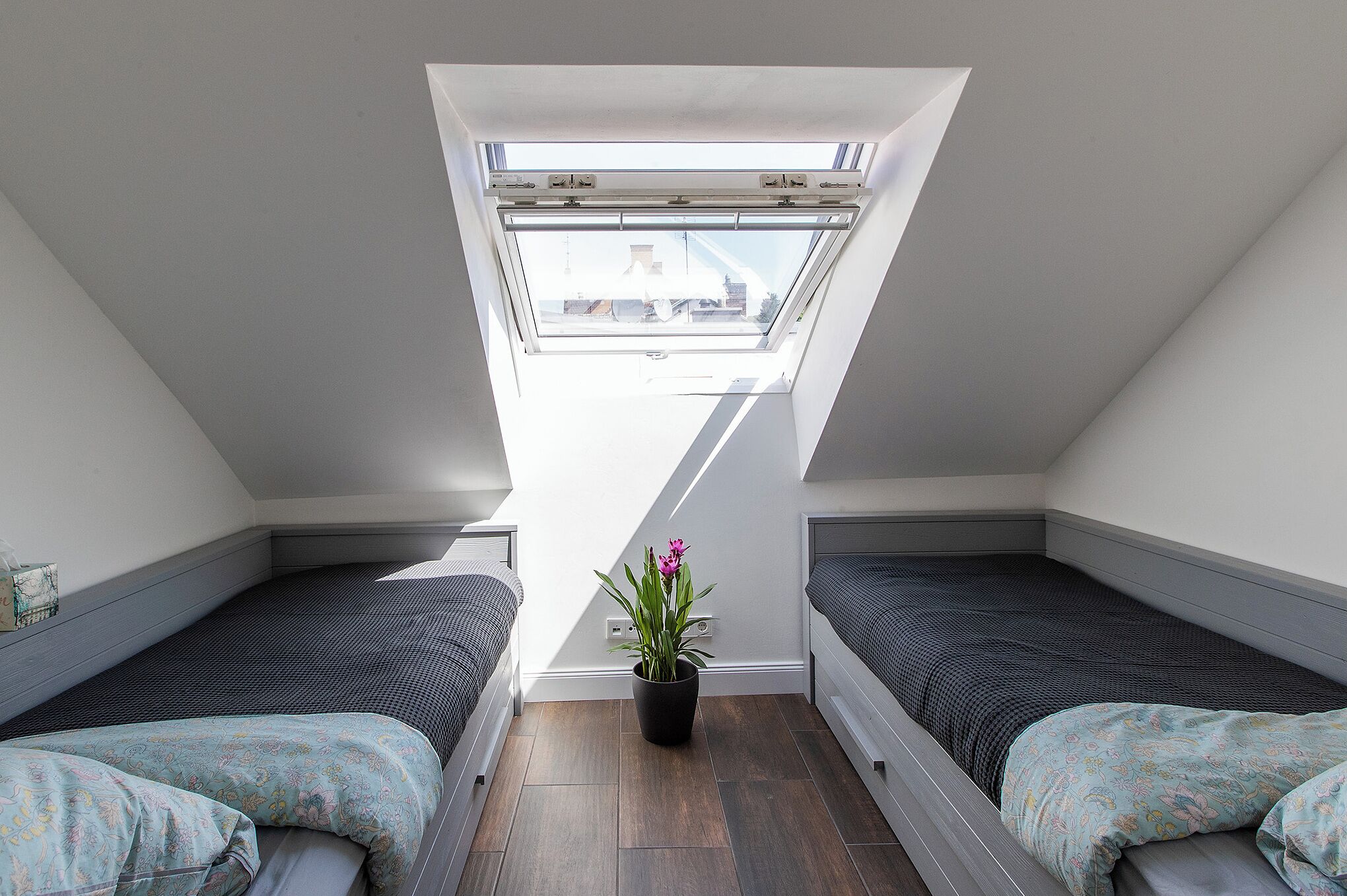 Ein kleines, helles Schlafzimmer im Dachgeschoss mit zwei Betten, einem Dachfenster und einer Topfpflanze.
