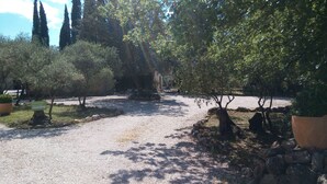 A gravel pathway leading to a building with a 'Welcome' sign, surrounded by trees and a stone wall.