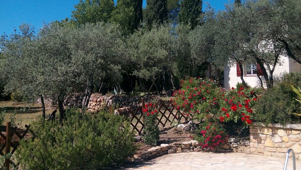 A swimming pool with a stone border and a clear blue sky.