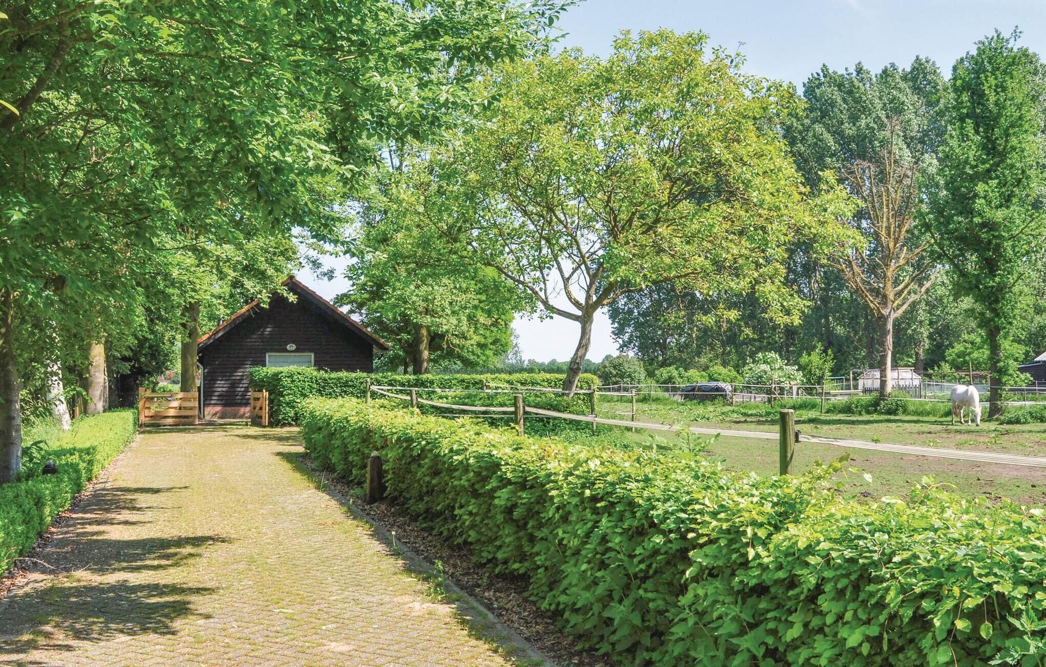 Àrea exterior de l'allotjament