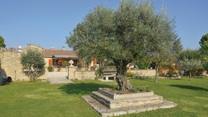 A stone house with a tiled roof, a large olive tree in the front, and a stone bench. - 2 bedroom beautiful home in Gordes (Gordes)