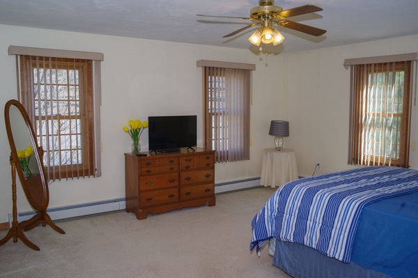 Master bedroom with small television with adjacent master bathroom and closet.