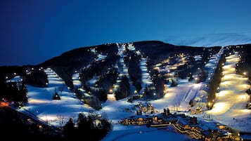 Sneeuw- en skisporten