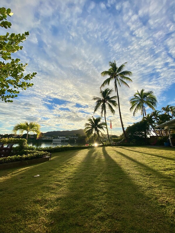 A grassy area with palm trees and a body of water in the background.