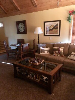 Smart TV, fireplace, DVD player, books