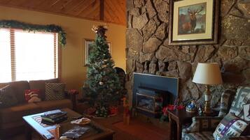 Smart TV, chimenea, reproductor de DVD y libros