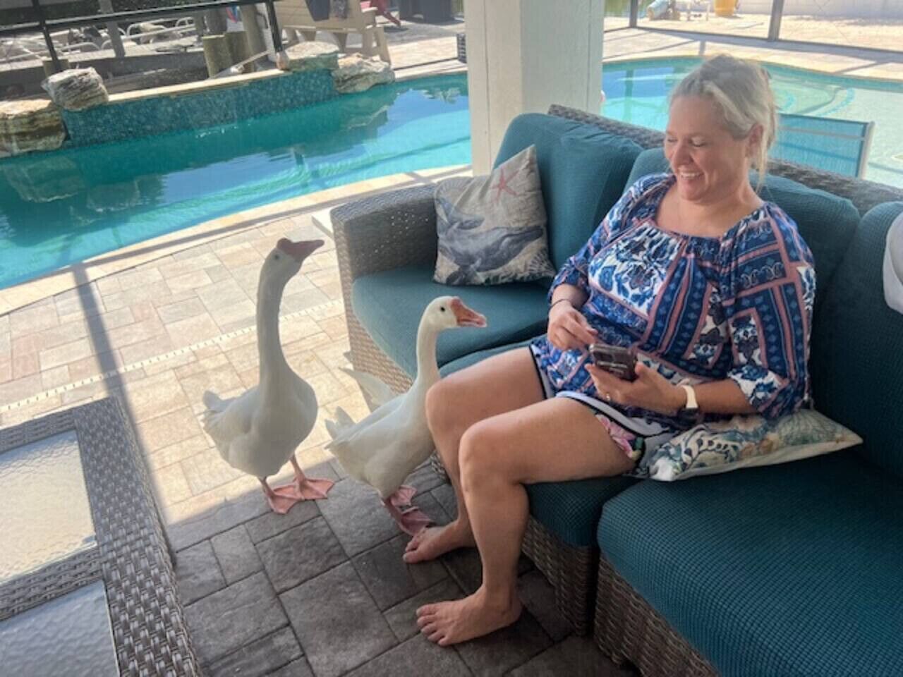 Alberca al aire libre y alberca climatizada