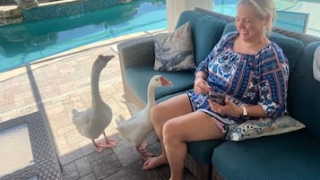 Alberca al aire libre y alberca climatizada