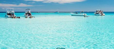 بالقرب من الشاطئ، كراسي للتشمس، مناشف للشاطئ