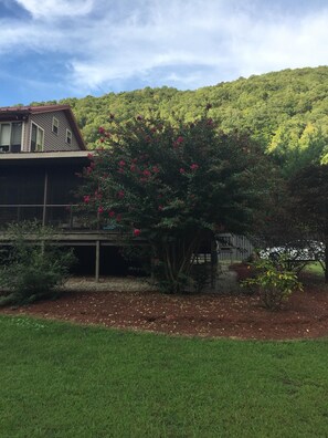 Property grounds - Al's Place - A place to Dream (Meadow Creek)