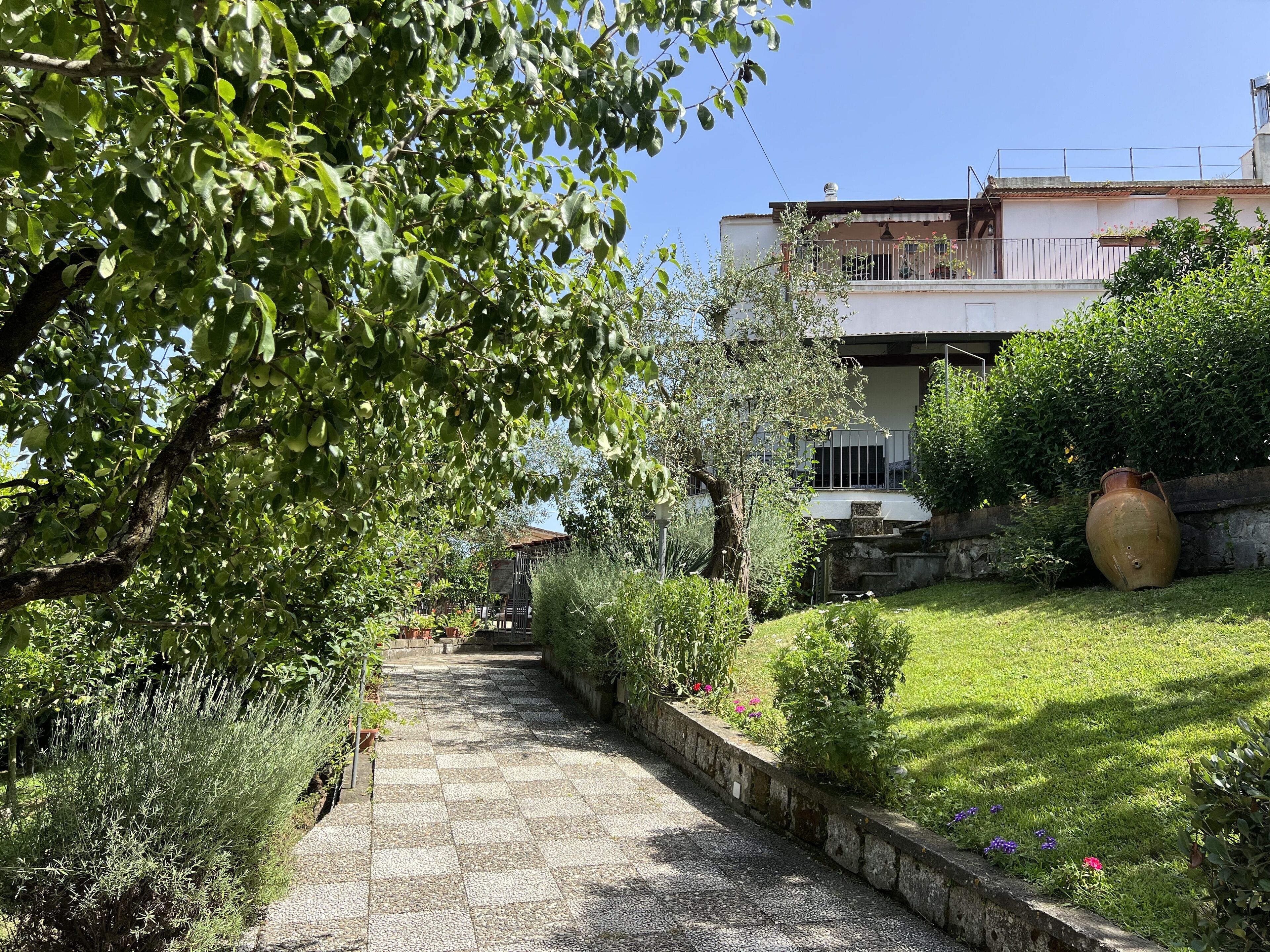 A pathway leading to a building with a balcony, surrounded by greenery and a large vase.