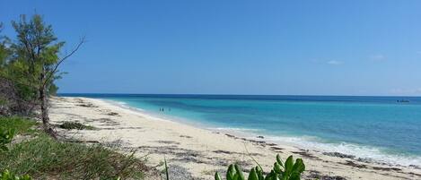 En la playa, sillas reclinables de playa, toallas de playa