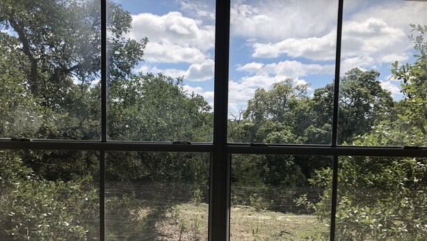 Une vue à travers une fenêtre dont le cadre est en métal, donnant sur un paysage naturel avec des arbres et une clôture.