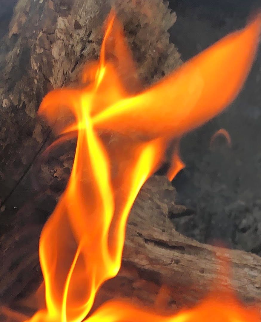 Un gros plan d’un feu dont les flammes lèchent une bûche.