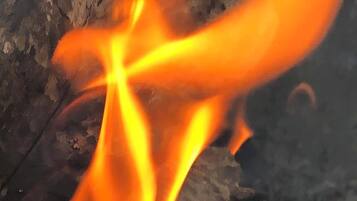 Un gros plan d’un feu dont les flammes lèchent une bûche.