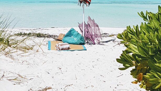 A beach with a beach umbrella, a towel, and some plants. - The ONLY house with POOL for rent in Spanish Wells! Five star service. (Spanish Wells)